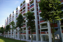 bukit-batok-street-52 photo thumbnail #7